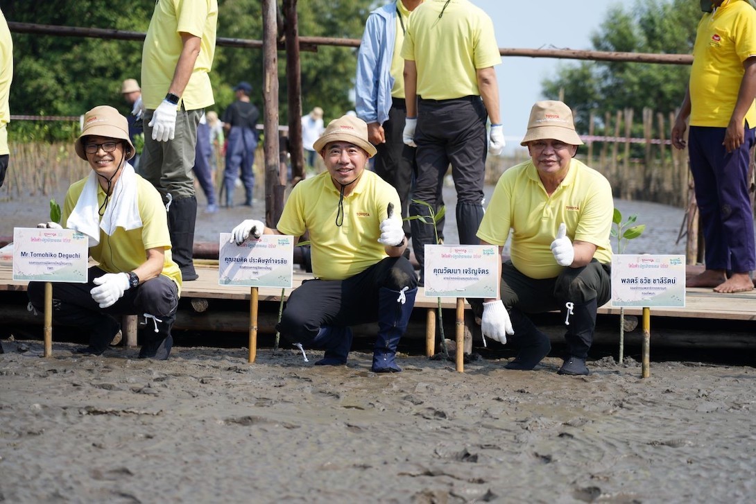 โตโยต้าปลูกป่าชายเลน