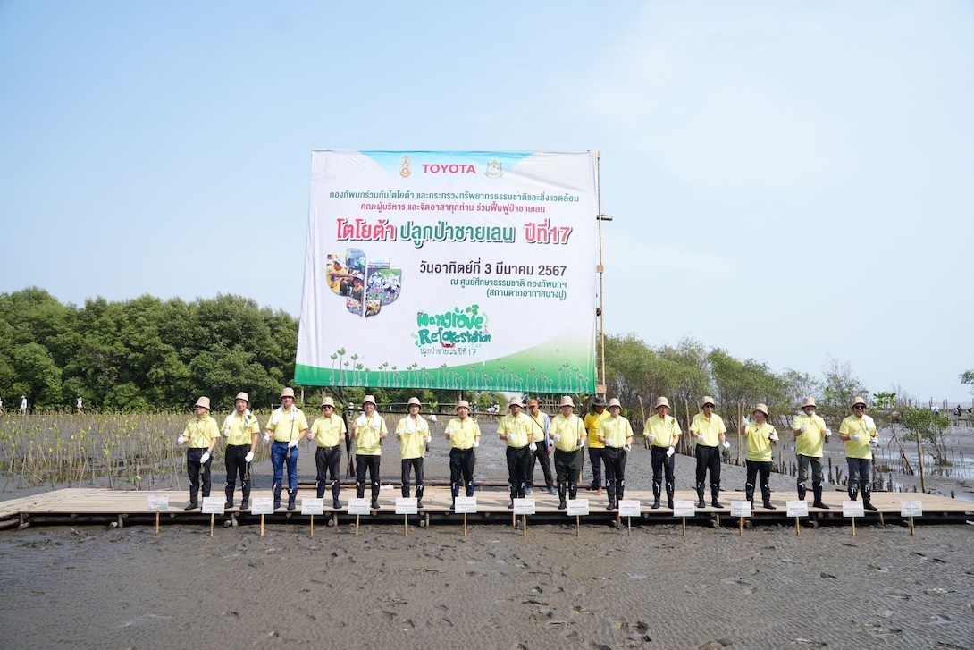 โตโยต้าปลูกป่าชายเลน