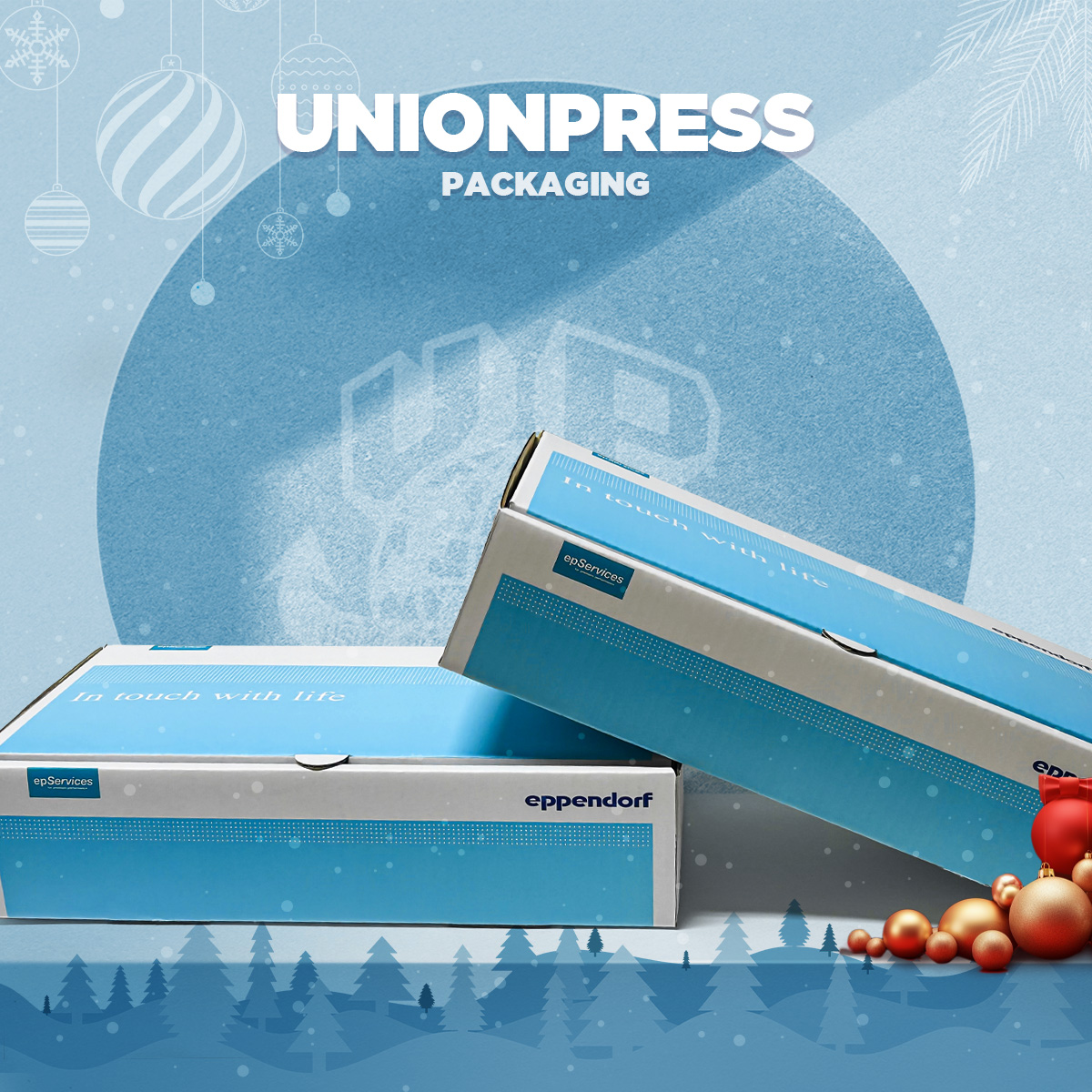 กล่องไดคัทหูช้าง