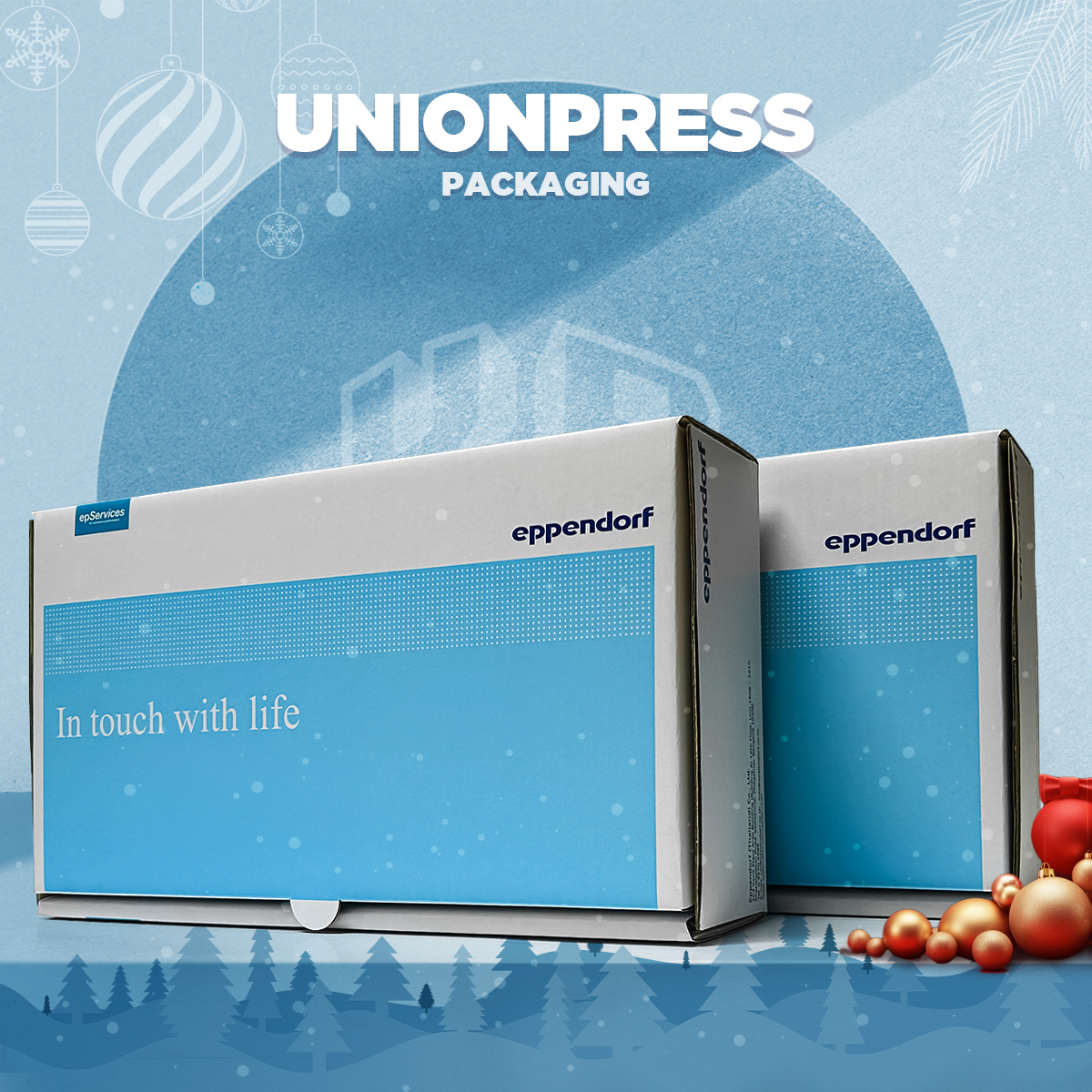 กล่องหูช้างไดคัทหูช้าง