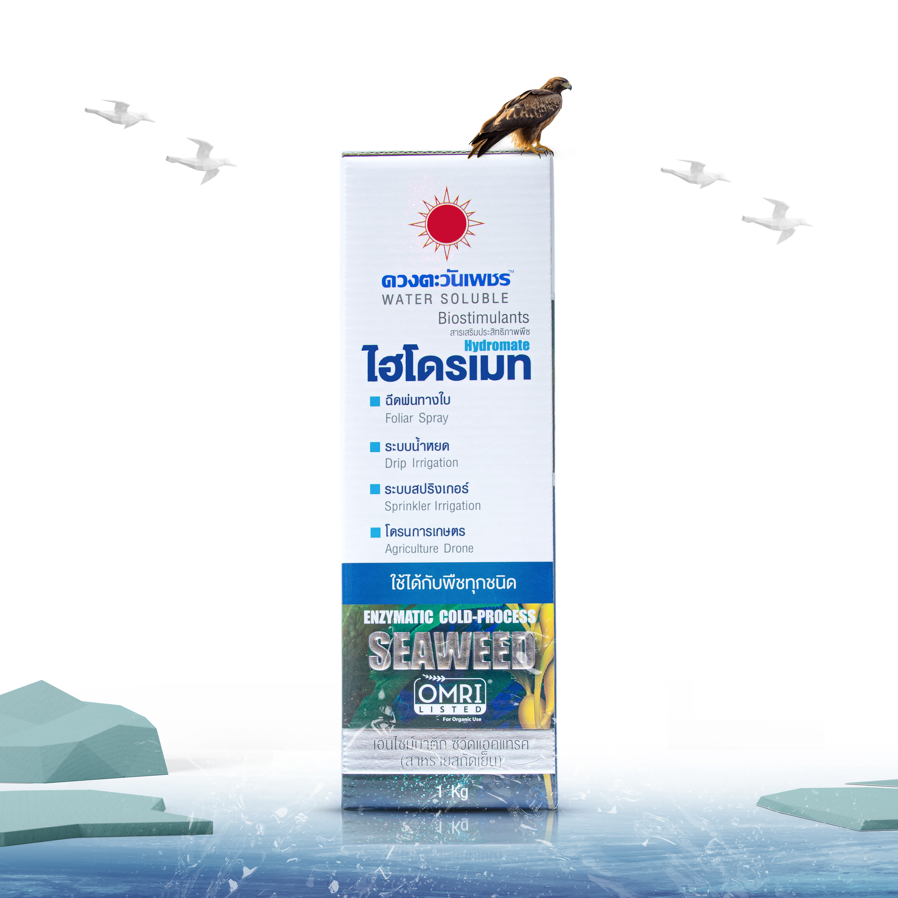 กล่องออฟเซ็ทประกบลอน