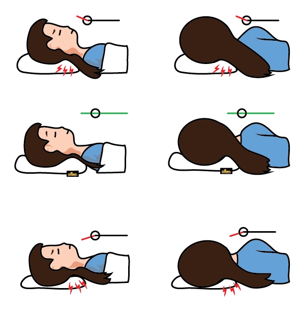 หมอนเมโม่ช่วยให้นอนถูกวิธี ทำให้ศีรษะและคอเป็นเส้นตรง ต่างจากหมอนอื่นๆ