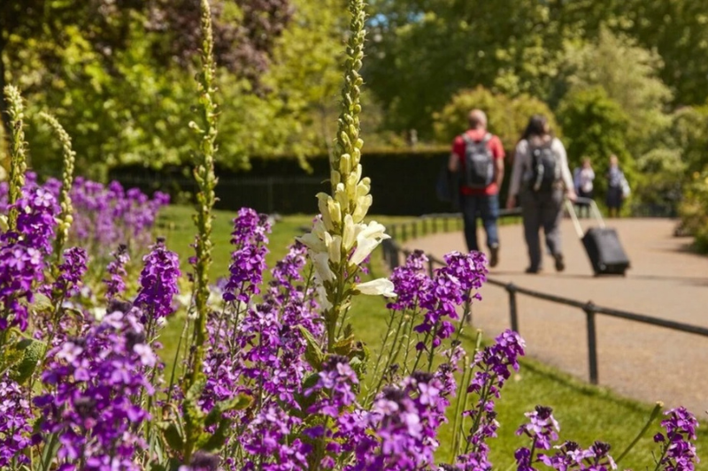 ผู้คนพักผ่อนในสวน Hyde Park ลอนดอนช่วงฤดูร้อน ท่ามกลางแสงแดดอ่อนๆ