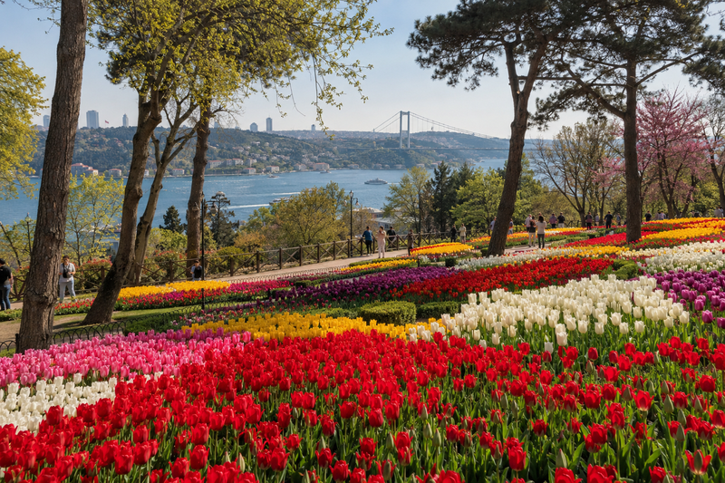 สวนเอเมียร์กาน (Emirgan Park) ในช่วงดอกทิวลิปบาน