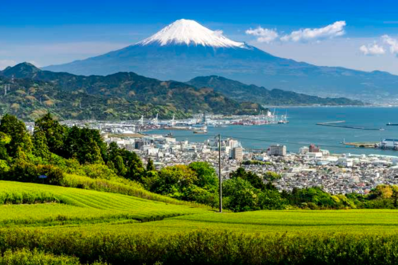 ญี่ปุ่นเปิดให้คนไทยเที่ยวได้โดยไม่ต้องขอวีซ่า อยู่ได้ 15 วัน ปี 2025