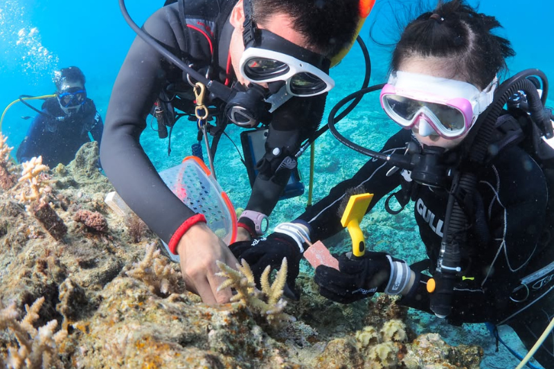 ดำน้ำดูปะการังที่โอกินาว่า เดือนพฤษภาคม น้ำทะเลใสสวยงาม