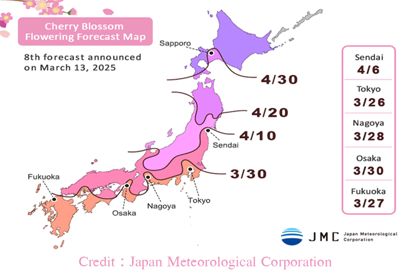 พยากรณ์ซากุระ 2025 อัปเดตช่วงเวลาที่ซากุระบานในโตเกียว เกียวโต และฮอกไกโด