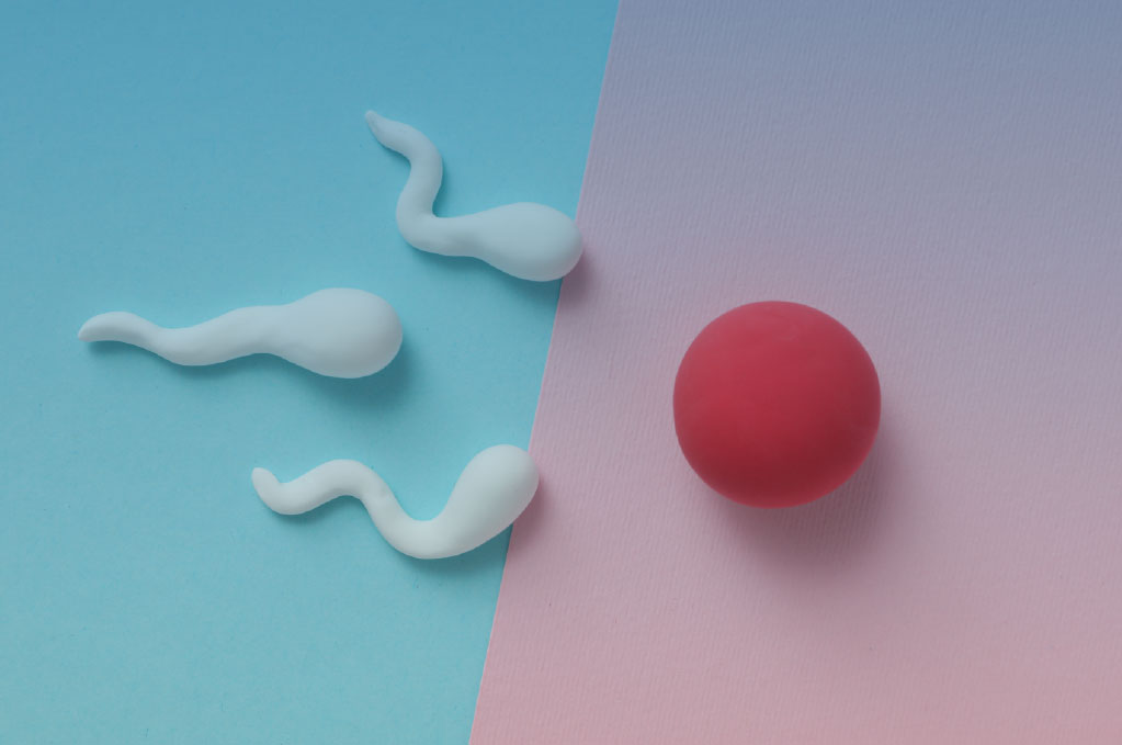 ภาวะมีบุตรยากในเพศชาย ปัญหาอสุจิน้อย อสุจิไม่แข็งแรง อสุจิรูปร่างผิดปกติ และปัญหาอสุจิอื่นๆ