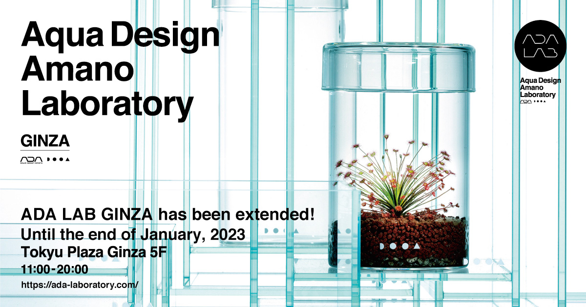 The “ADA LAB GINZA” period has been extended.