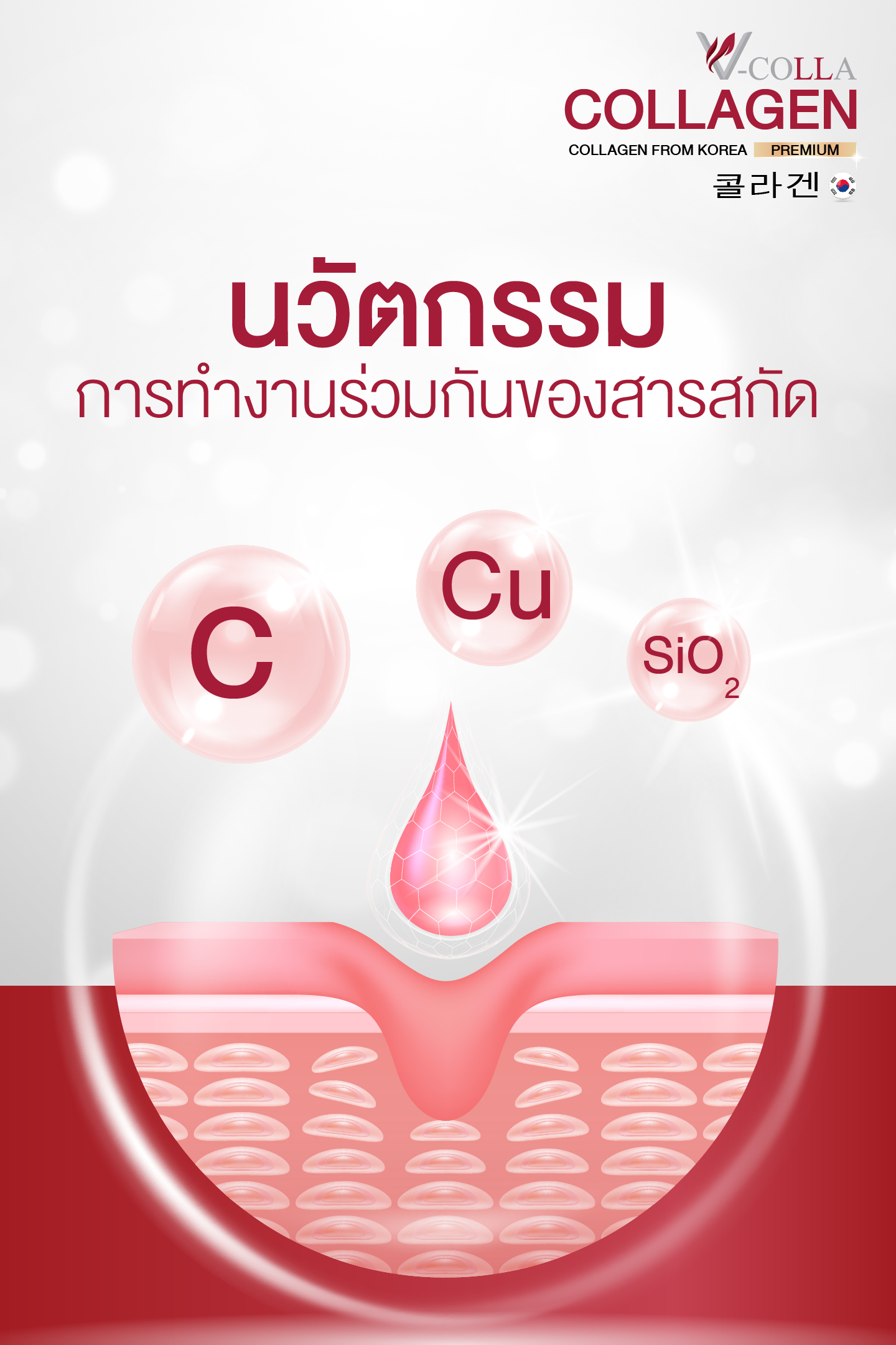 การสร้างคอลลาเจน