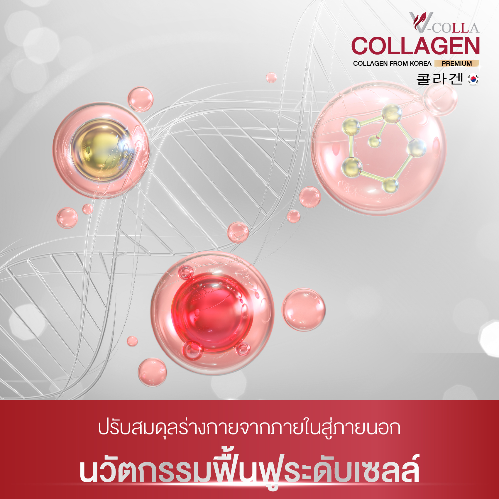 ฟื้นฟูเซลล์