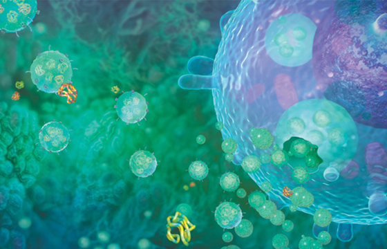 Exosome/Extracellular RNA Sequencing
