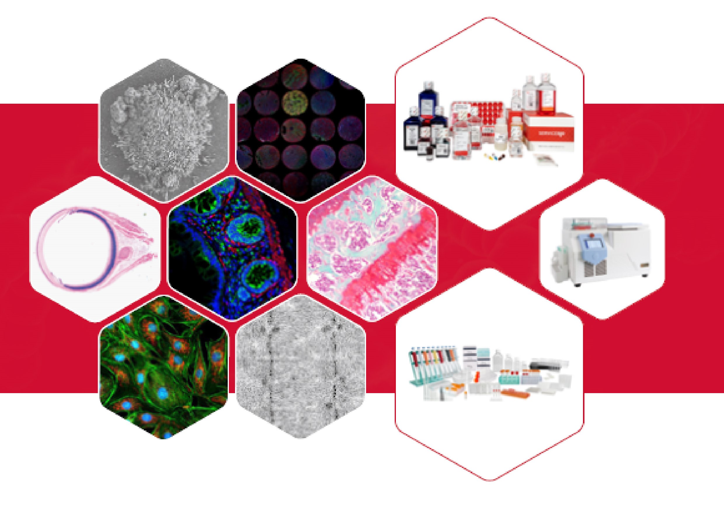 Product Catalog - Servicebio