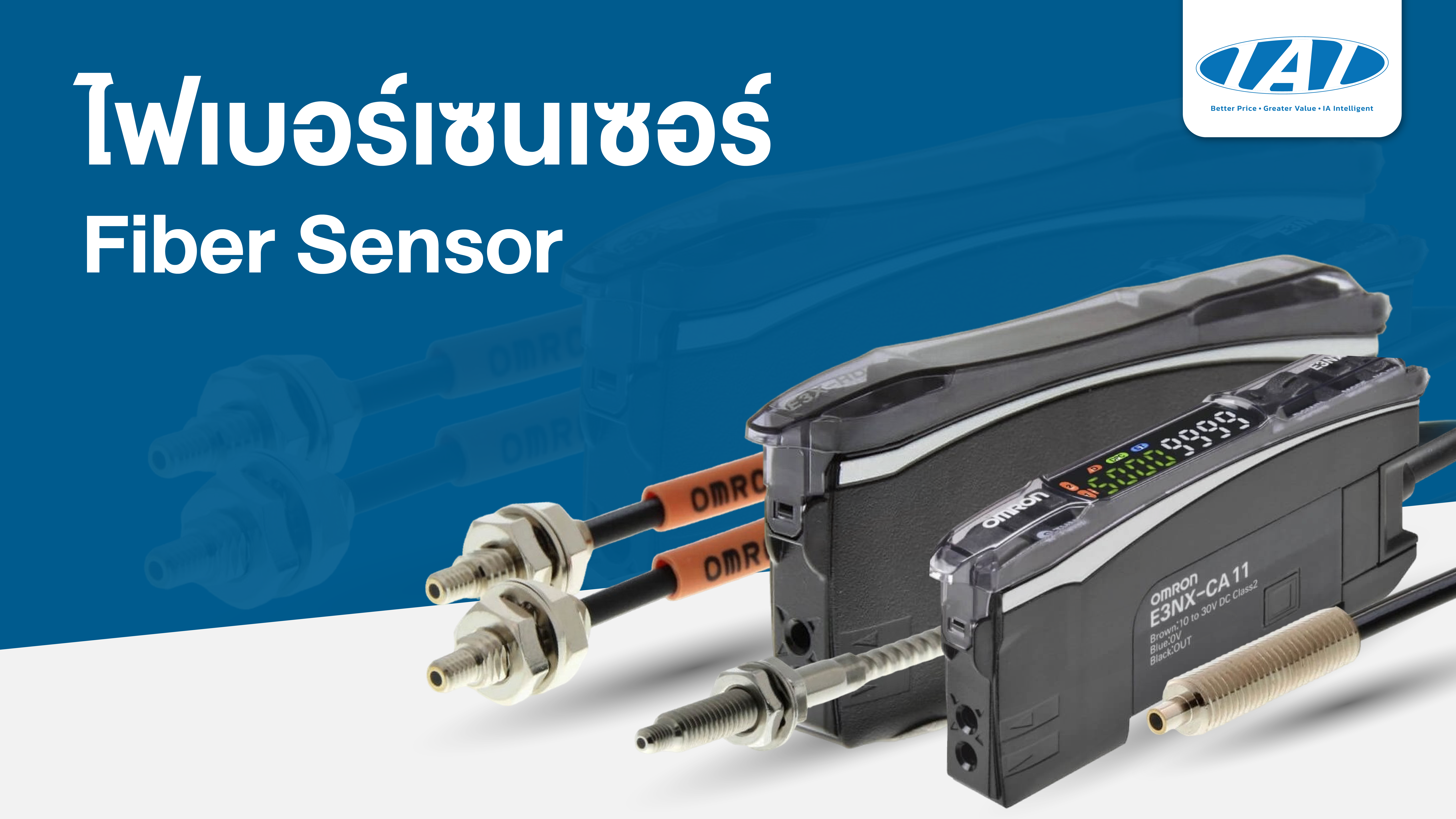 Fiber Sensor