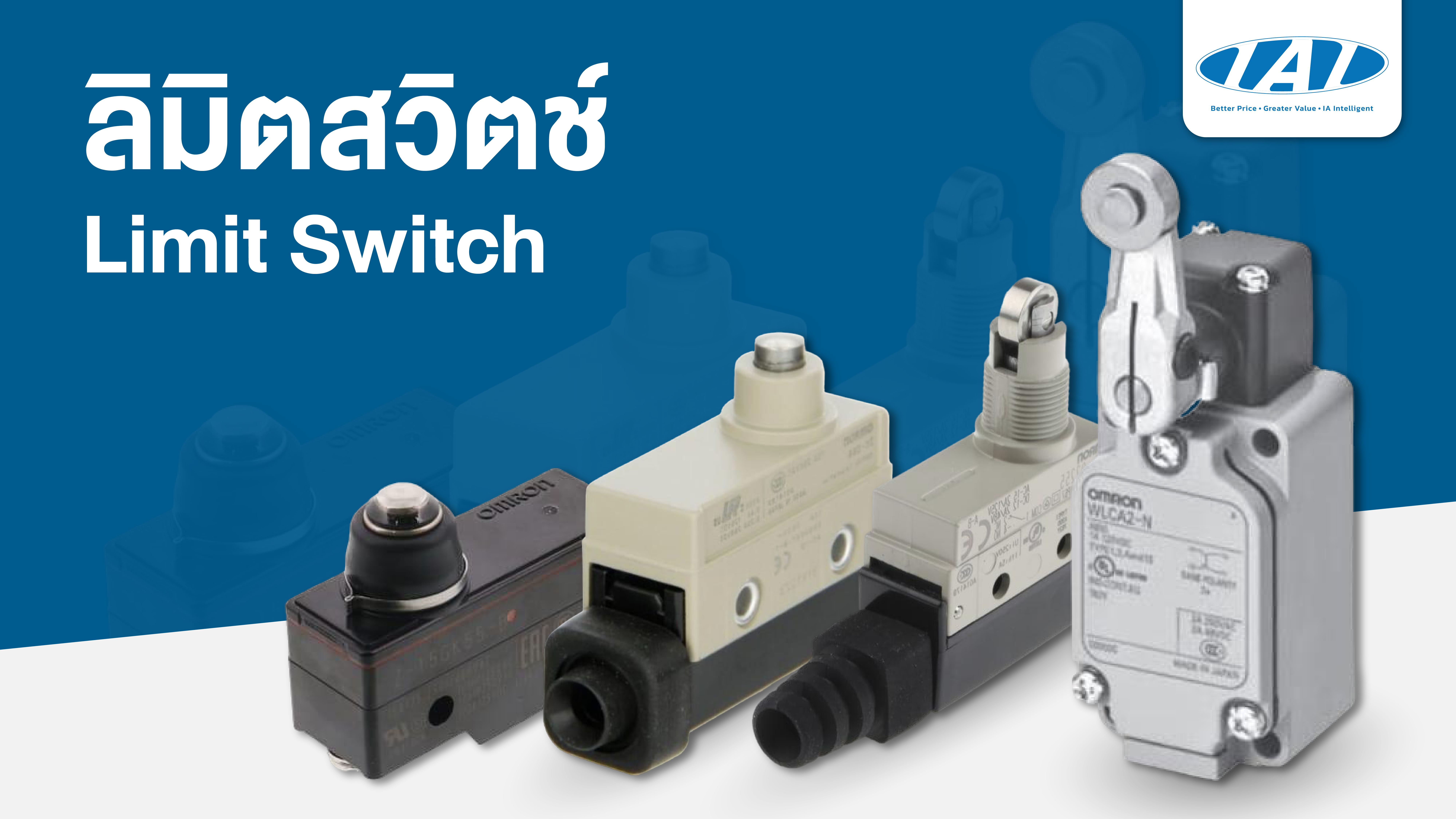 Limit Switch
