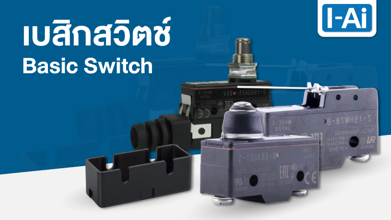 Basic Switch