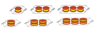  Ex01_for_Twin_Biscuits