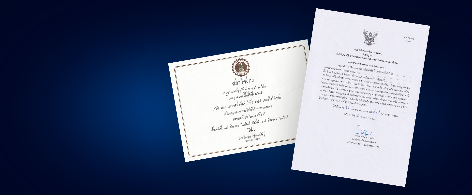 professional engineer คือ