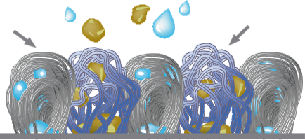 การเก็บฝุ่นของเส้นใยพรมดักฝุ่น การเก็บฝุ่นของเส้นใยพรมดักฝุ่น