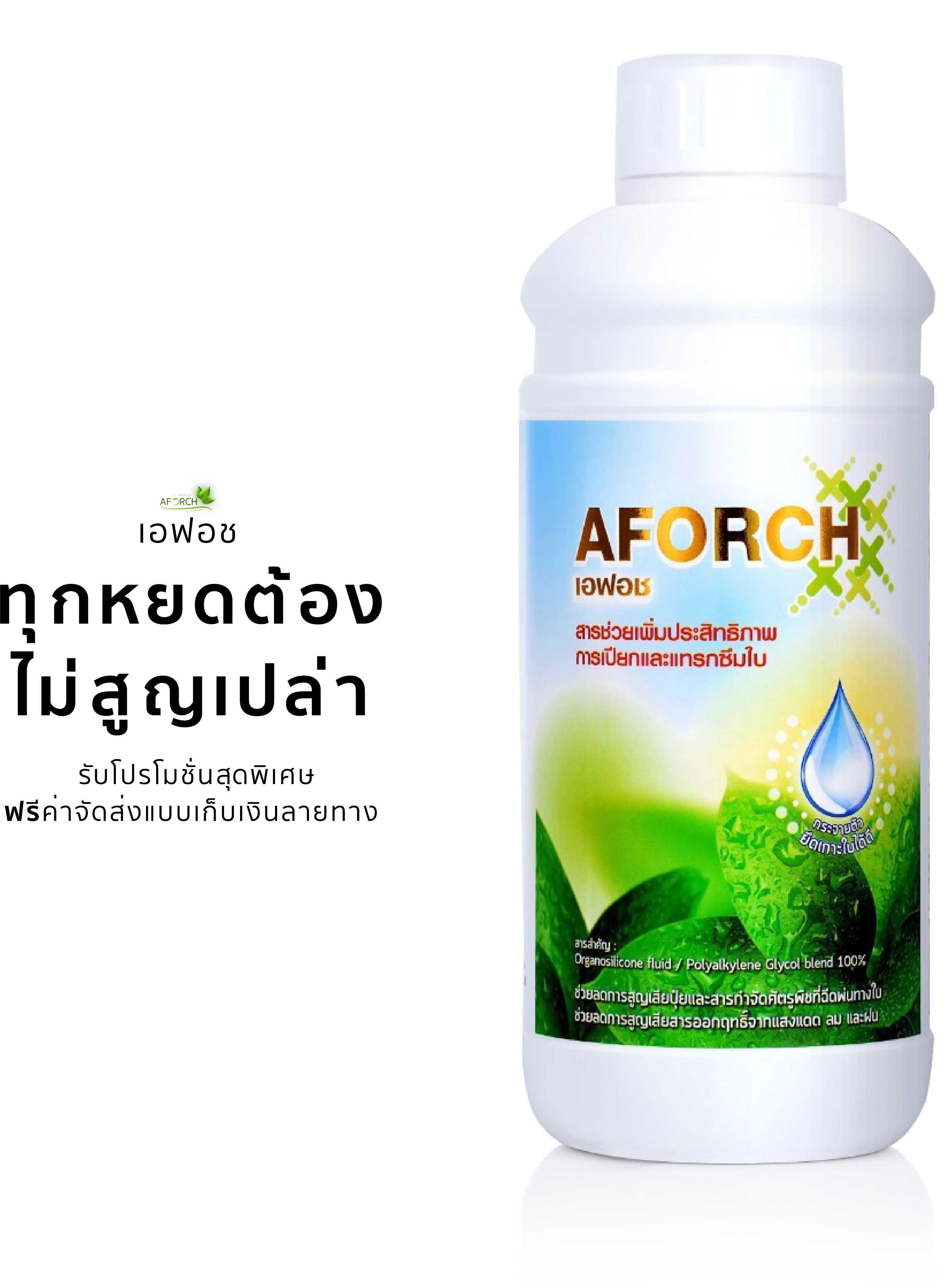 เอฟอช สารเสริมปประสิทธิภาพ