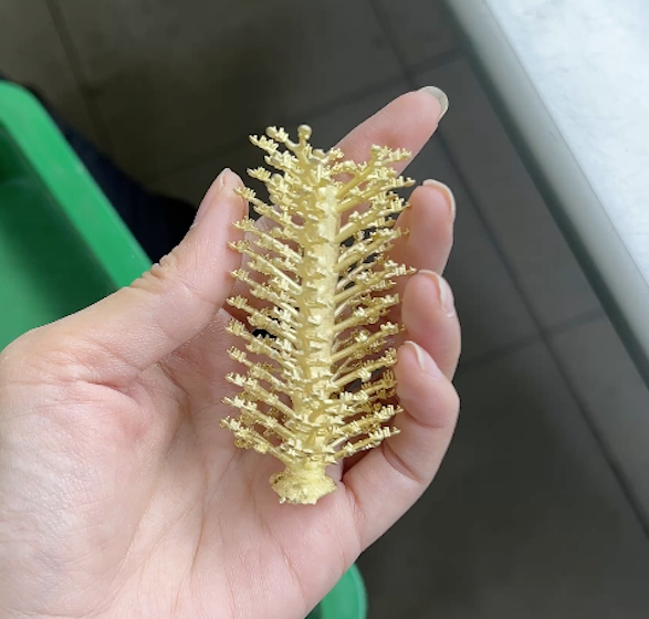 บริการหล่อ ทอง 9K 14K 18K โรงหล่อเฮียตี๋