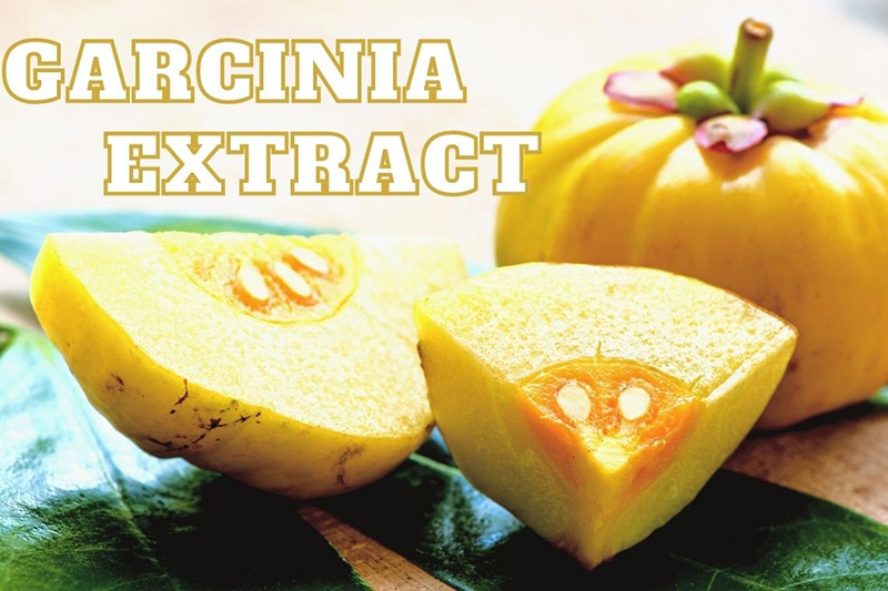 สารสกัดคุมหิวอิ่มนาน สารสกัดจากส้มแขก