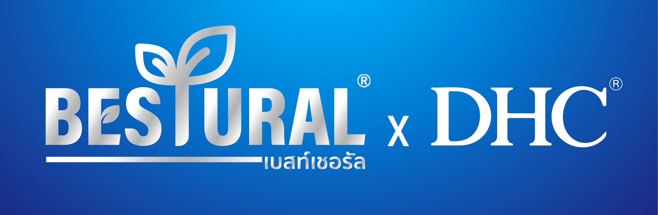 Bestural x DHC Bestural x DHC