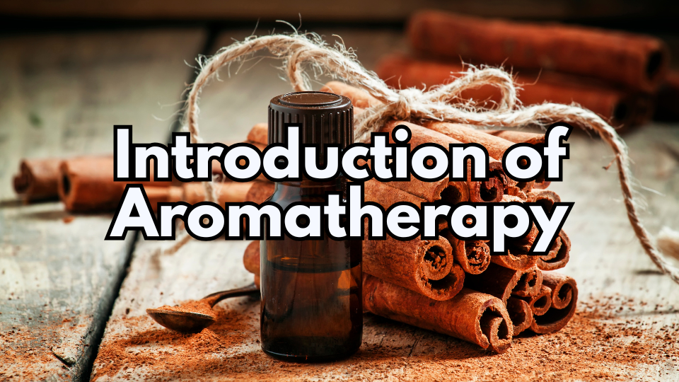 คลาส Introduction of Aromathery