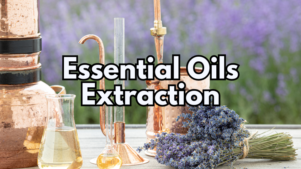 Workshop Essential Oils Extraction