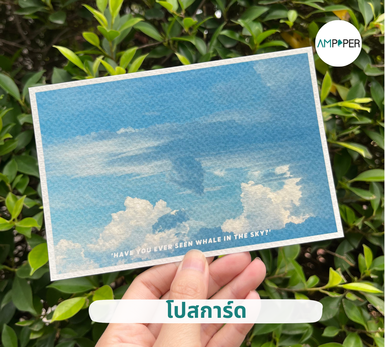 โปสการ์ดสีน้ำ