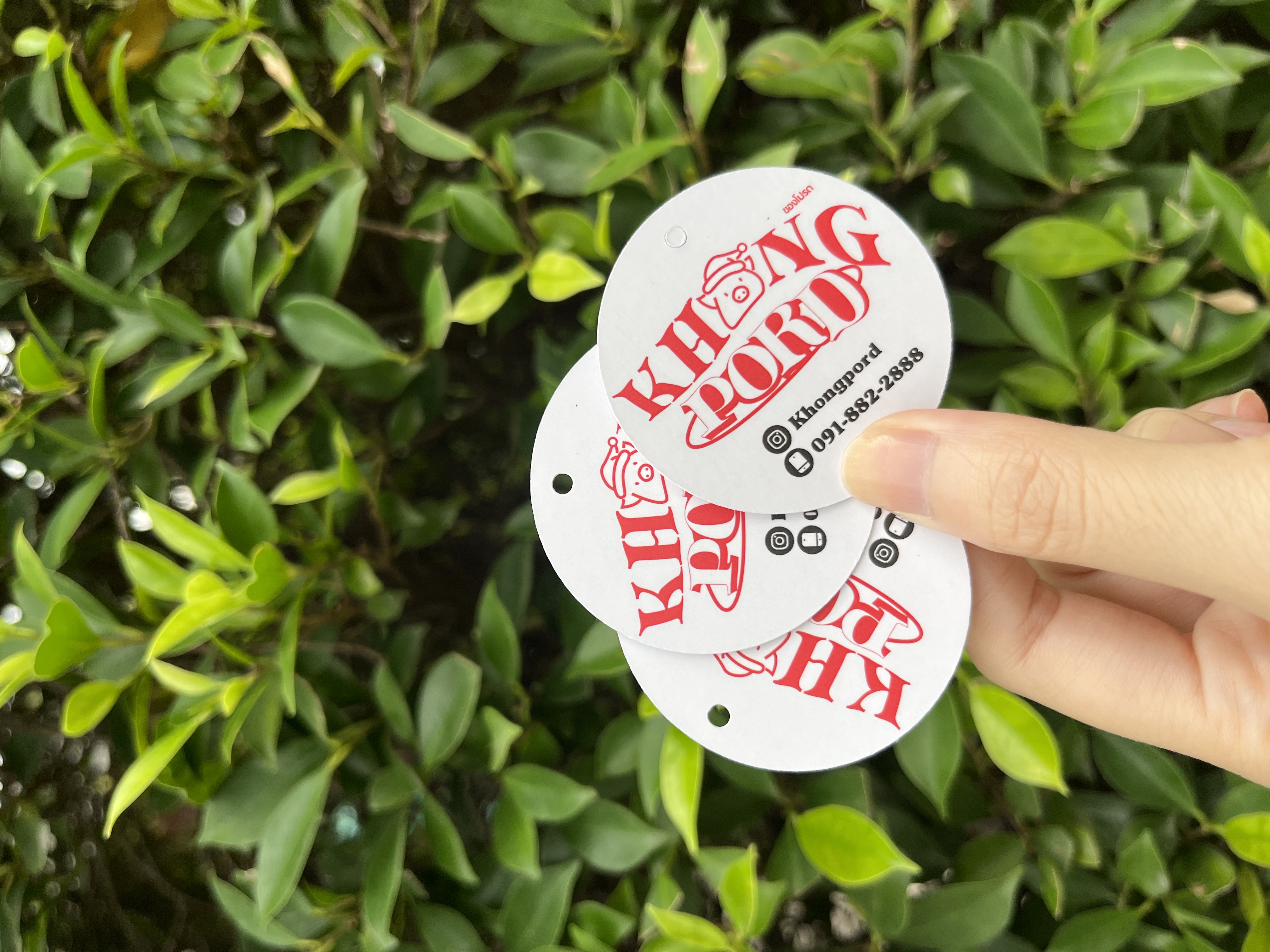 พิมพ์ปฏิ