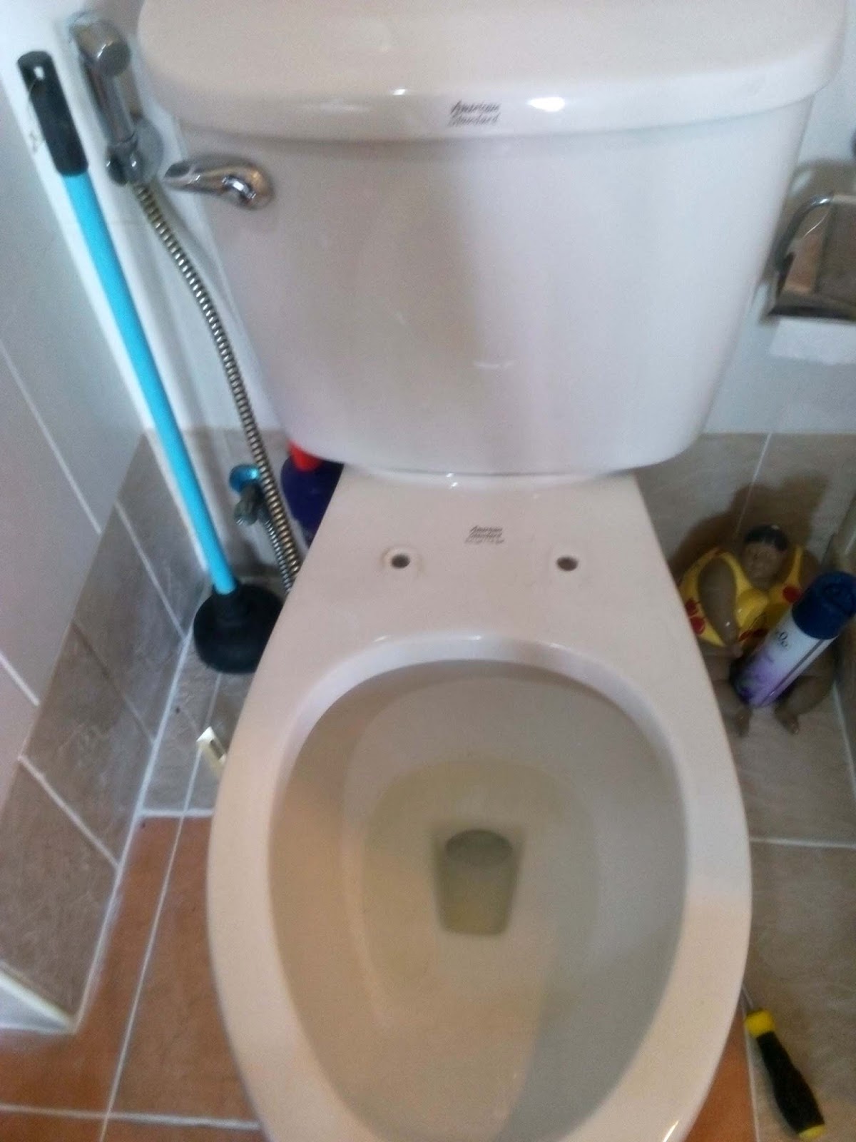 ฝารองนั่ง , ฝารองนั่งชักโครก , ฝาสุขภัณฑ์ , ฝารอง , ฝาส้วม , ส้วม , โถส้วม , ฝารองนั่ง