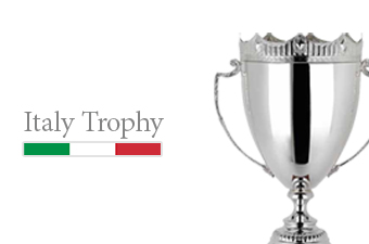 ถ้วยรางวัลอิตาลี