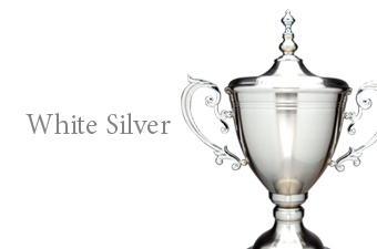 White silver Trophy