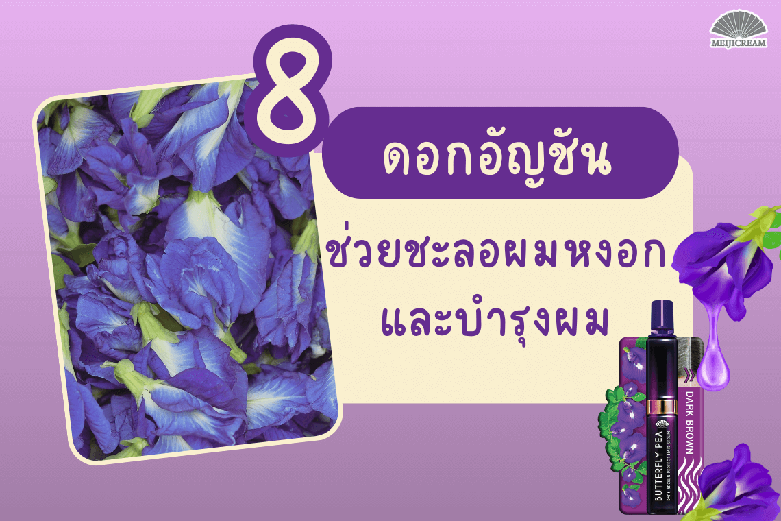 อัญชันประโยชน์ อัญชันสรรพคุณ อัญชันกับเส้นผม เซรั่มผมอัญชัน