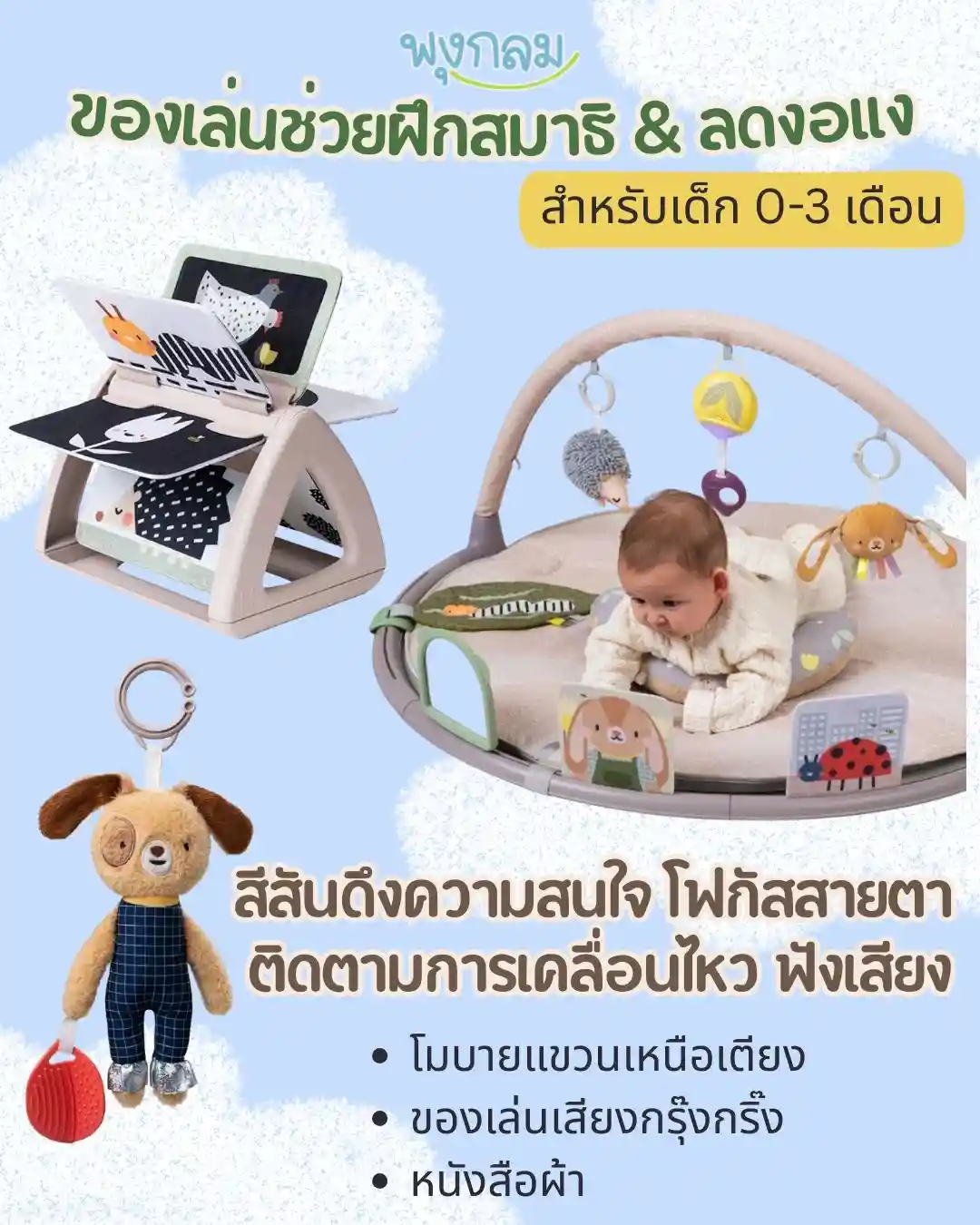 ของเล่นช่วยฝึกสมาธิ 06 เดือน ตัวอย่างของเล่น ของเล่นช่วยฝึกสมาธิ 06 เดือน ตัวอย่างของเล่น