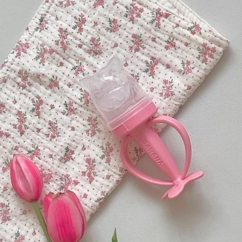 Ange ซิลิโคนป้อนผลไม้ Food Grade (5m+)