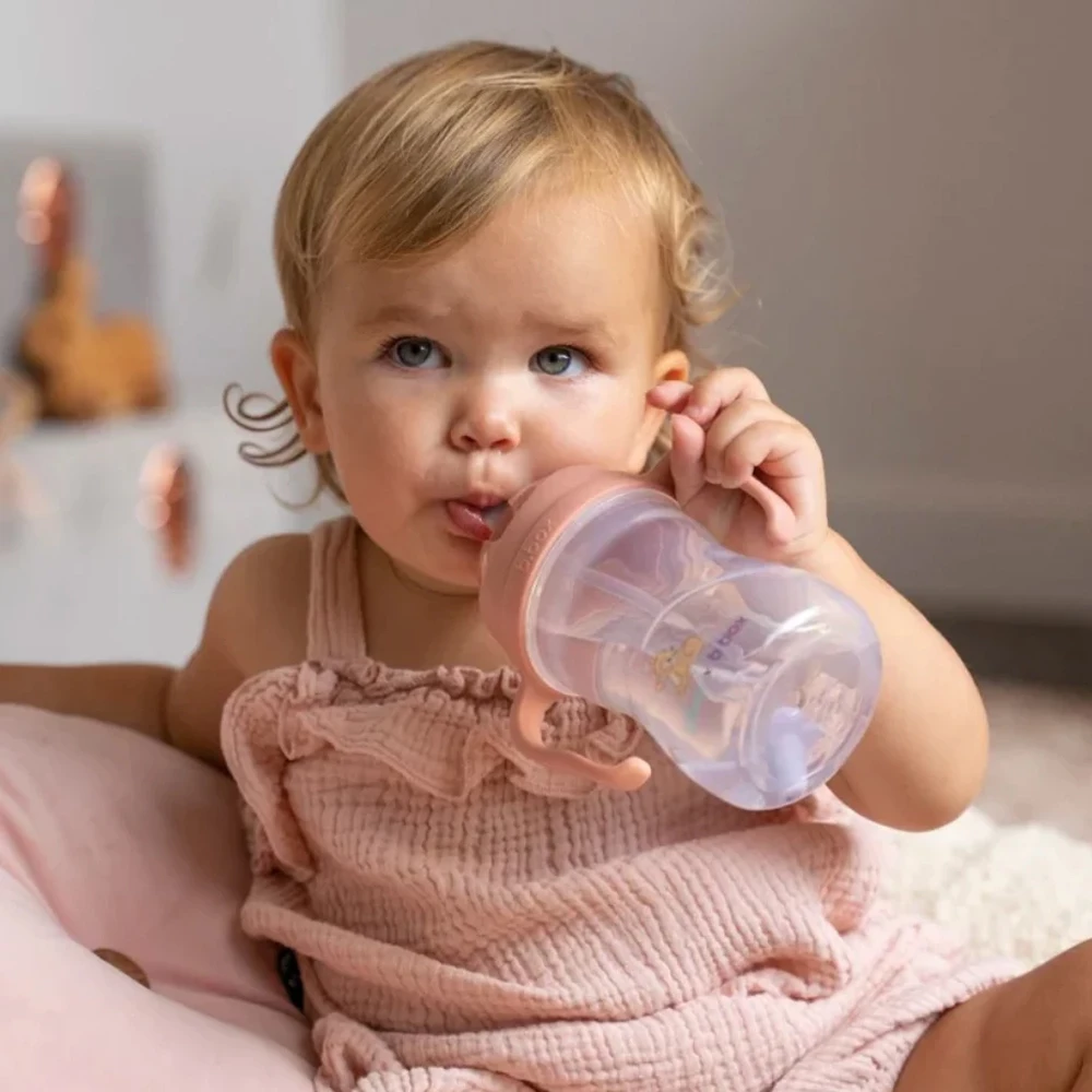 Bbox Sippy Cup Disney
