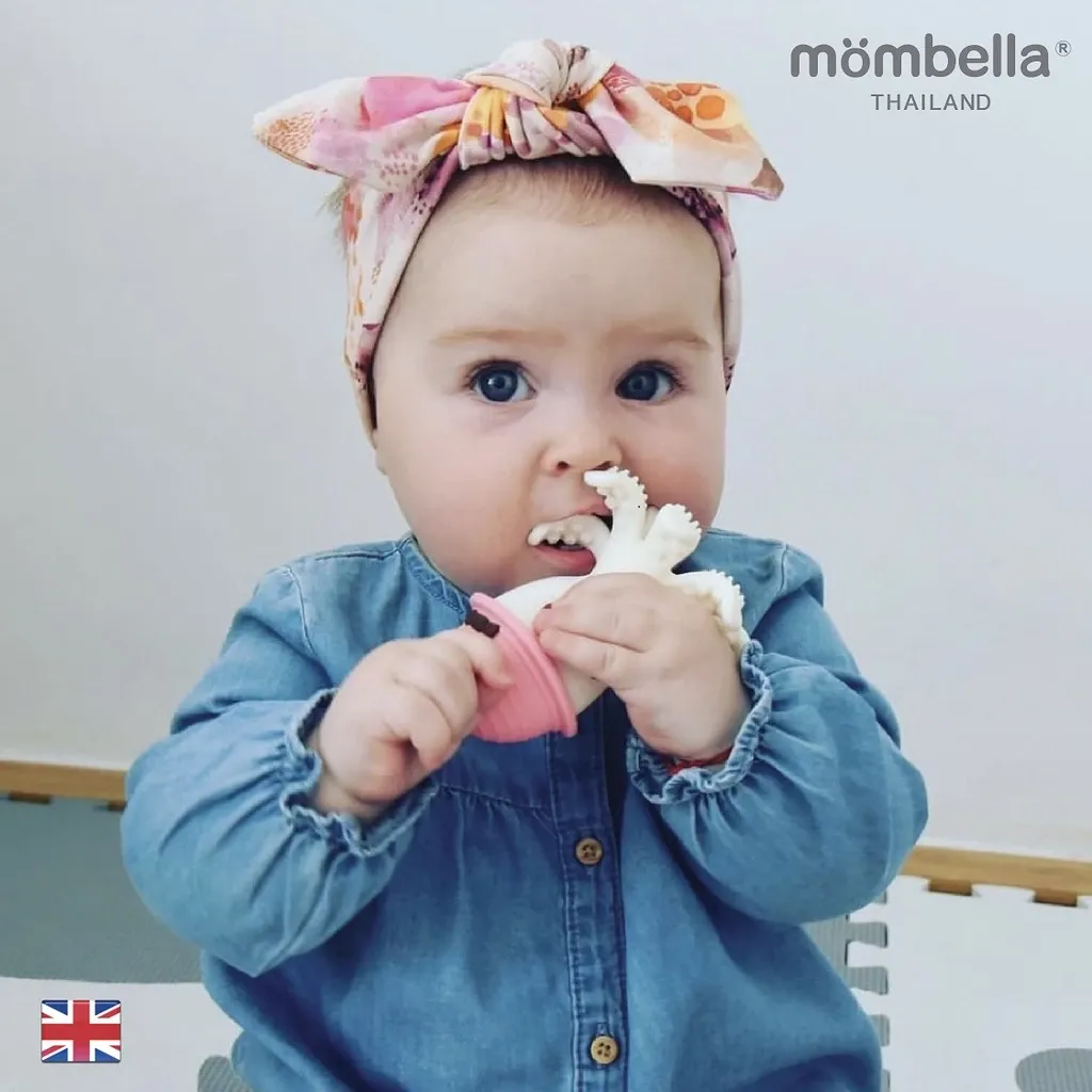 Mombella ยางกัดปลาหมึกมัมเบล่า ภาพสินค้าที่ 3 Mombella ยางกัดปลาหมึกมัมเบล่า ภาพสินค้าที่ 3