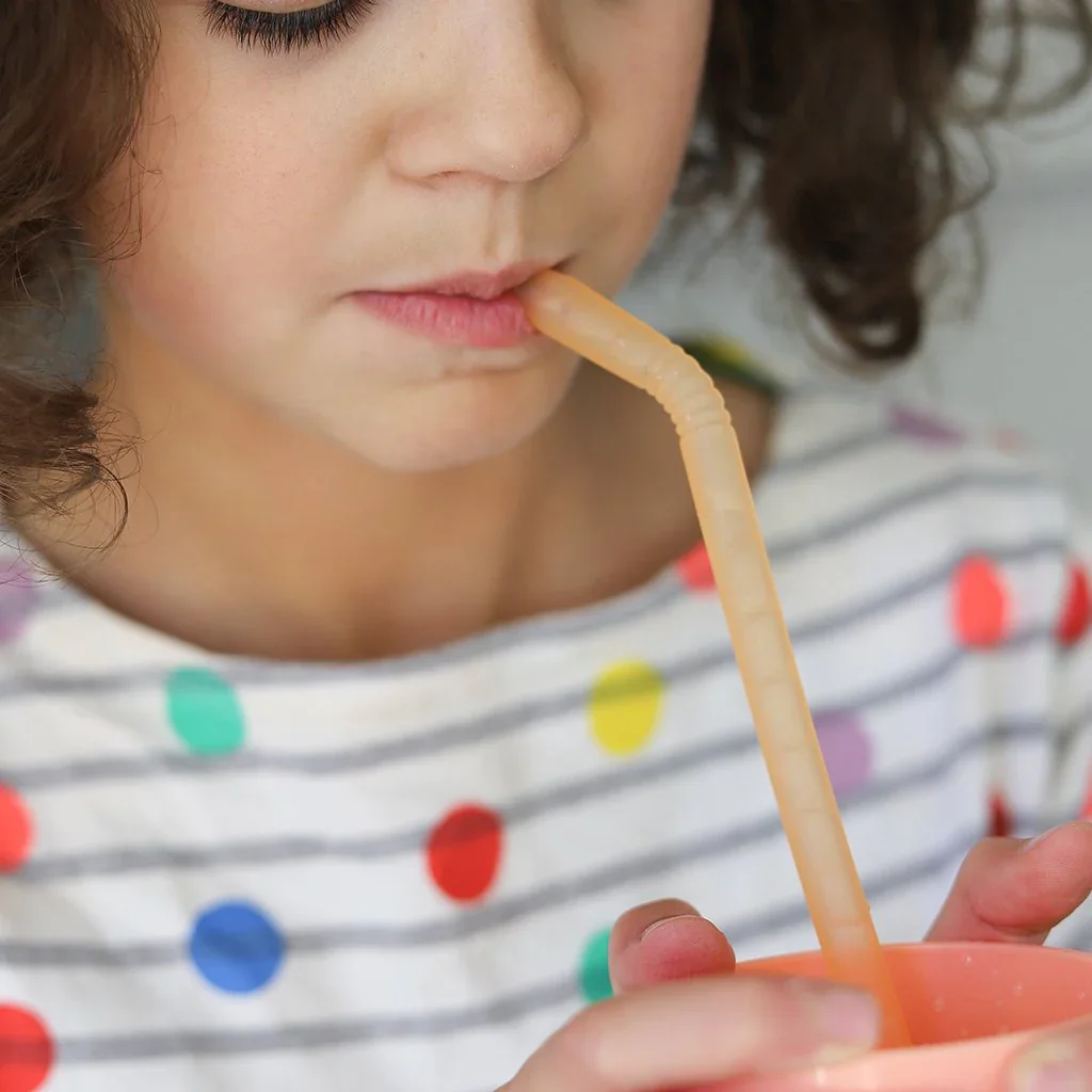 BBOX หลอดซิลิโคนพกพาพร้อมแปรงล้างหลอด Silicone Straw Travel