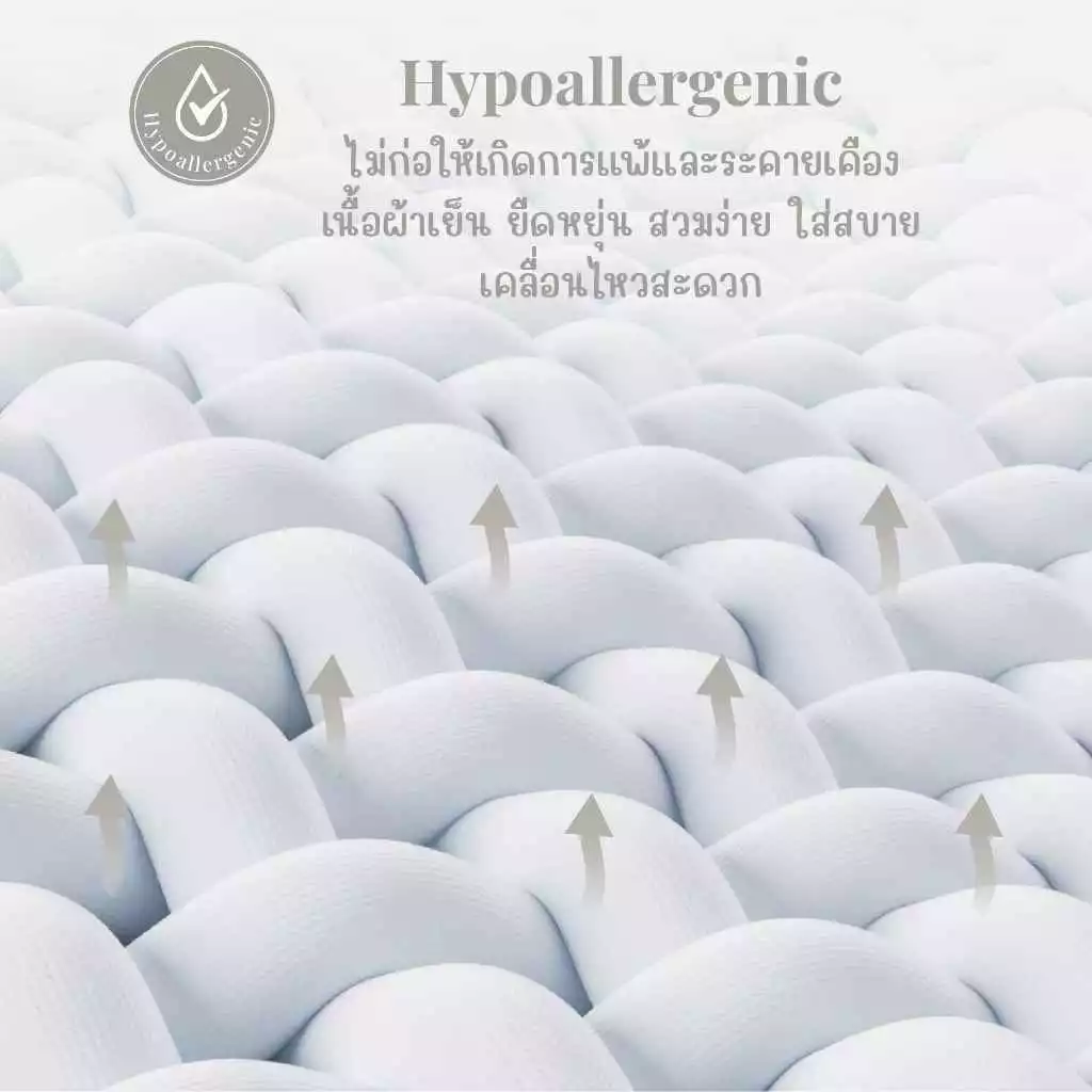 SNOW OWL Born in 2026 ผ้าห่อตัวสำเร็จรูป