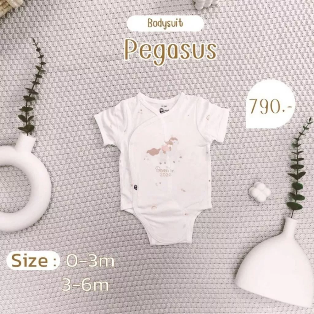 SNOW OWL Born in 2026