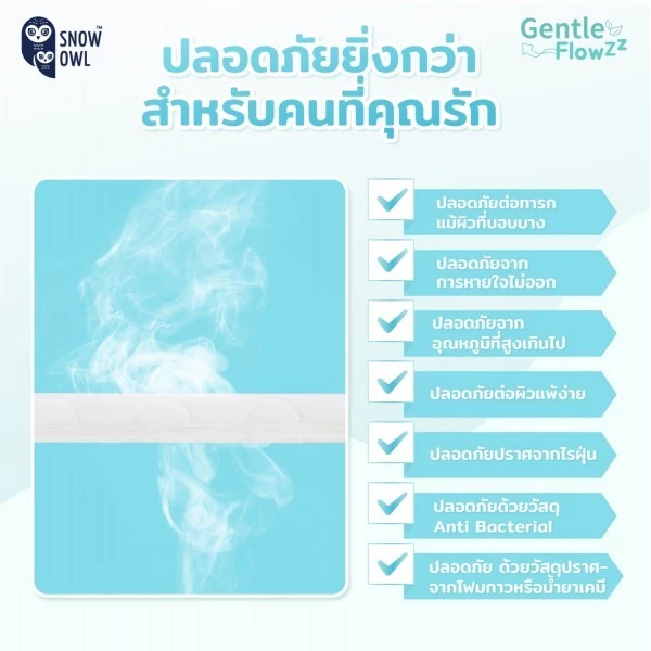 Snow Owl เบาะนอนระบายอากาศ