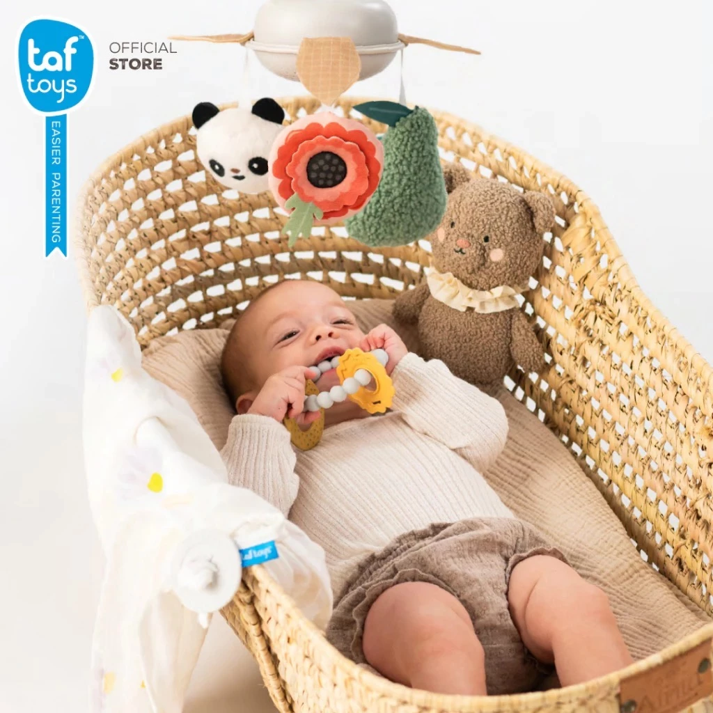 TAF TOYS ชุดของขวัญพรีเมียม สำหรับเด็กแรกเกิด Luxury Newborn Kit