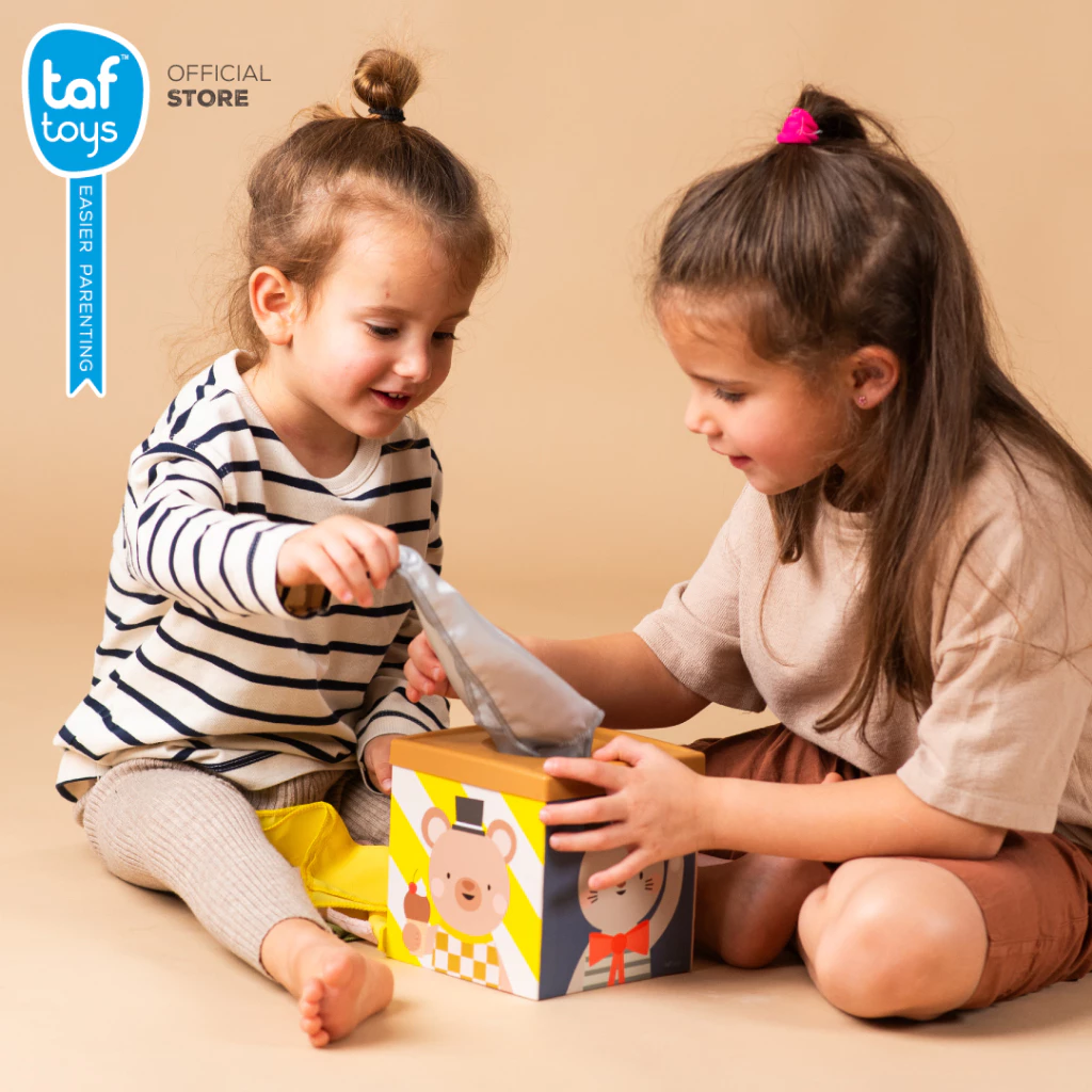 Taf Toys กล่องทิชชู่ หยอดบอล Play & Discover Cube