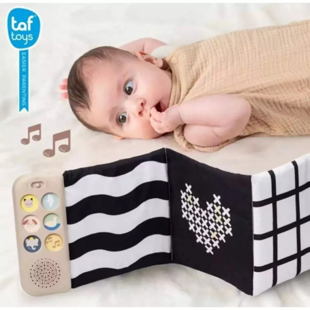 Taf Toys หนังสือผ้าเสียงดนตรี ของเล่นเสริมพัฒนาการ Soothing Sounds Book (0m+)