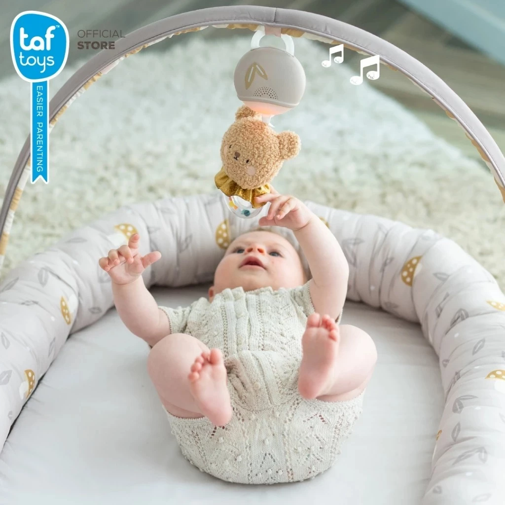Taf Toys เบาะฝึกคว่ำ ของเล่นเสริมพัฒนาการสำหรับเด็กแรกเกิด Little Explorer Lounger (0m+)