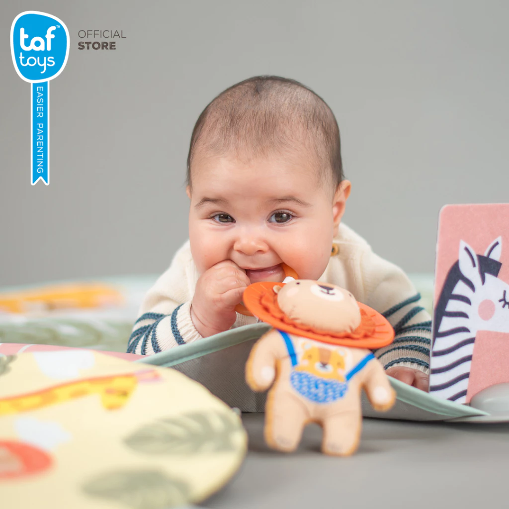 Taf Toys โมบายติด รถเข็นเด็ก คาร์ซีท