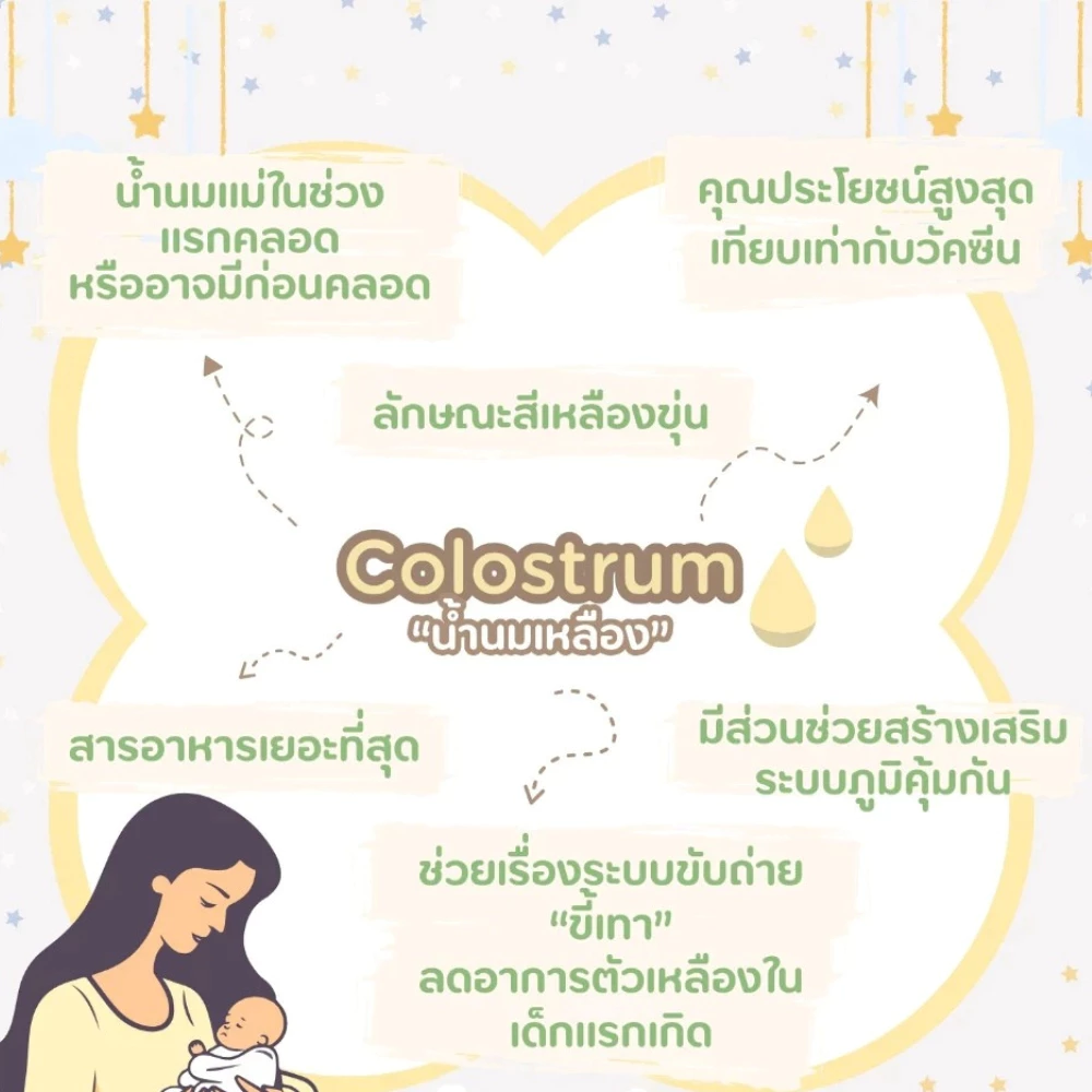 Haakaa Silicone Colostrum Collector เซตซิลิโคนเก็บน้ำนม ชุดเก็บน้ำนมพร้อมถ้วยป้อน Feeding Pack