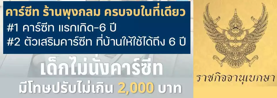 กฏหมาย คาร์ซีท